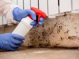 Best Mold Removal for HVAC Installations  in Pelican Marsh, FL